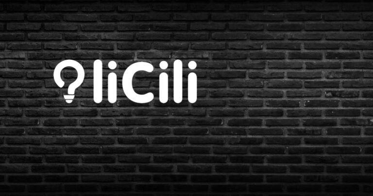 licili: Partner im Blickwinkel KUNDE Club